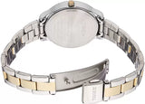TIMEX - TW000T608(P)