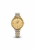 WIMSONS WS2002RGY
