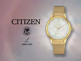 CITIZEN Eco-Drive EM0812-89D (C5) (K)