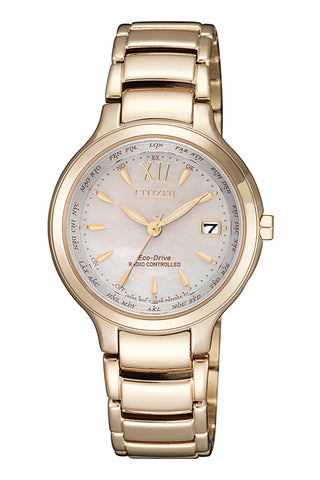 CITIZEN EC1173-87D(P)