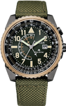 CITIZEN BJ7136-00E(C5)