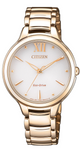 CITIZEN EM055385A(C5)