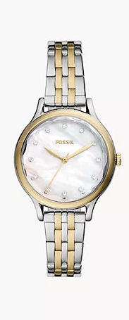 FOSSIL Laney Three-Hand Two-Tone Stainless Steel Watch BQ3864