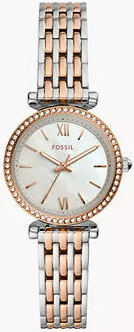 FOSSIL - ES4649(C5)