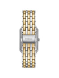 FOSSIL- ES5399