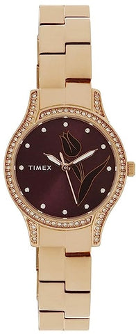 TIMEX-TW0TL9504 (C5) (P)