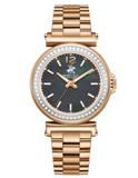 BEVERLY HILLS POLO CLUB BP3882X.550