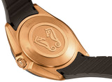 RADO - R32281309